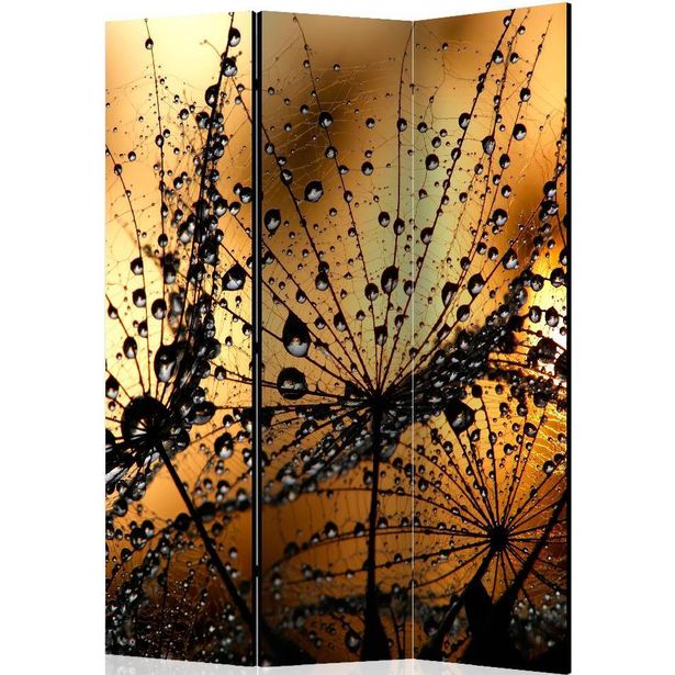 Sermi Artgeist Dandelions in the Rain, 135x172cm