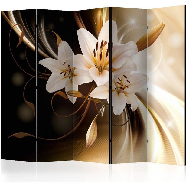 Sermi Artgeist Circle of Light II, 225x172cm