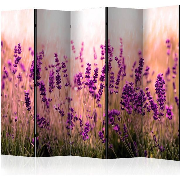 Sermi Artgeist Lavender in the Rain II, 225x172cm