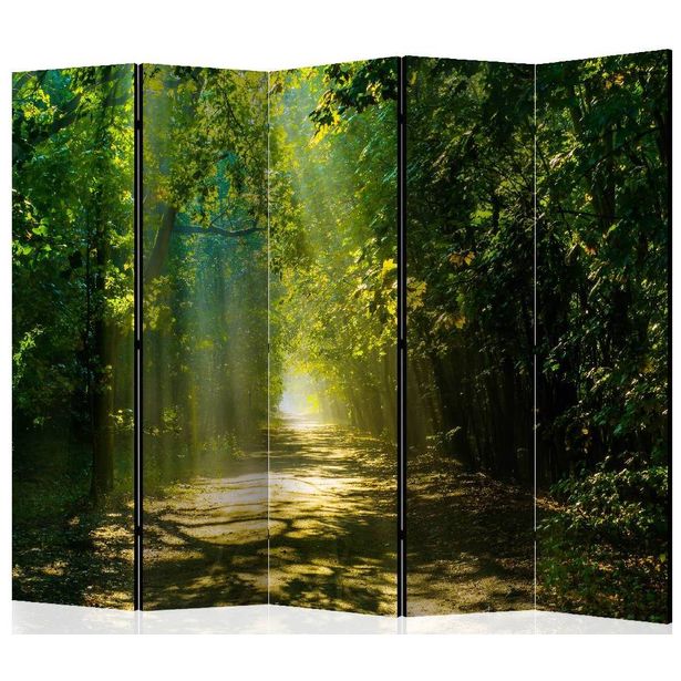 Sermi Artgeist Road in Sunlight II, 225x172cm