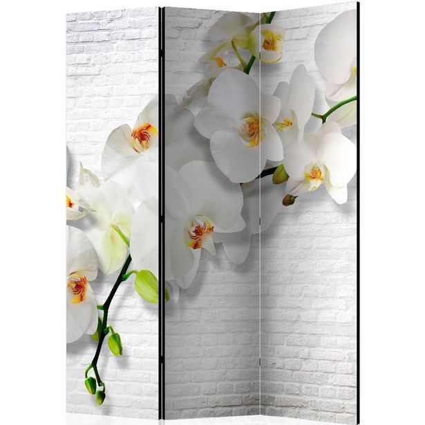Sermi Artgeist The Urban Orchid, 135x172cm