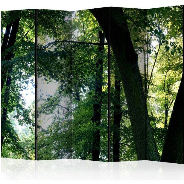 Sermi Artgeist Spring in the Park II, 225x172cm