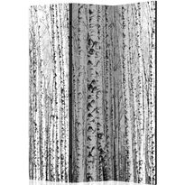 Sermi Artgeist Birch forest, 135x172cm