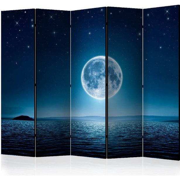 Sermi Artgeist Moonlit night II, 225x172cm