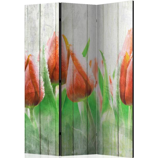 Sermi Artgeist Red tulips on wood, 135x172cm