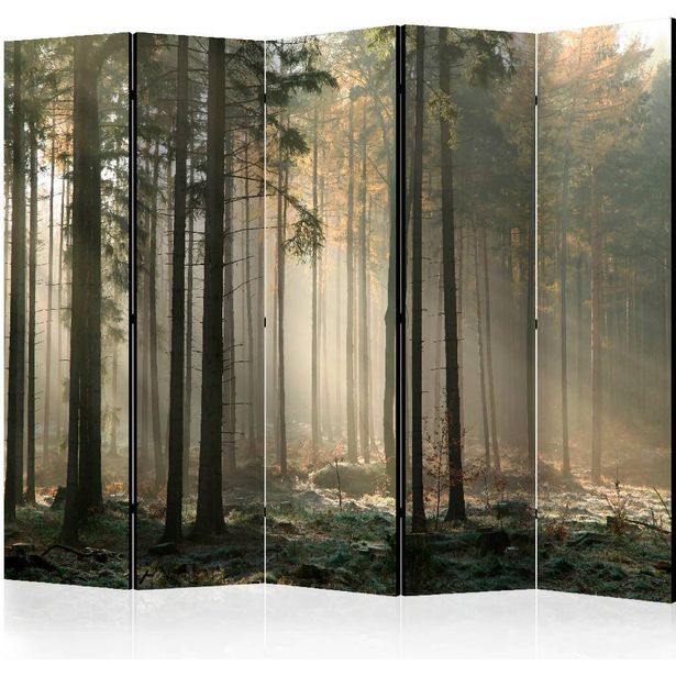 Sermi Artgeist Foggy November morning II, 225x172cm