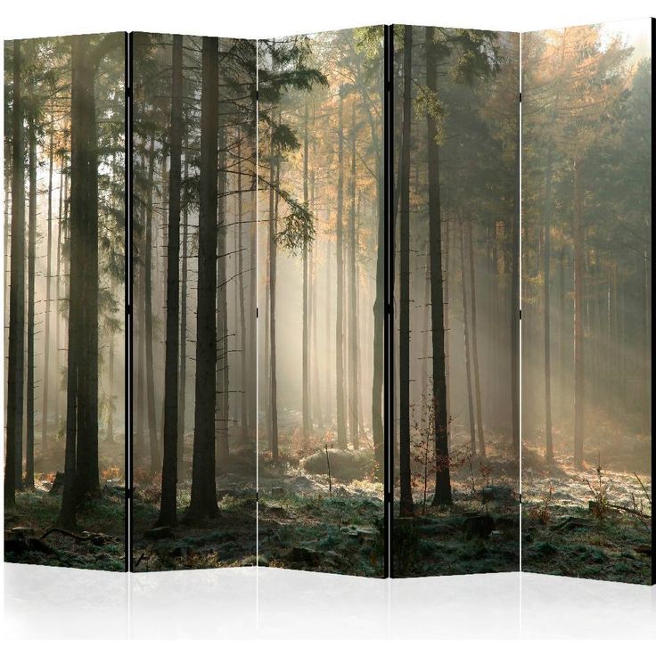 Sermi Artgeist Foggy November morning II, 225x172cm