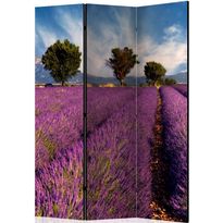 Sermi Artgeist Lavender field in Provence, France, 135x172cm