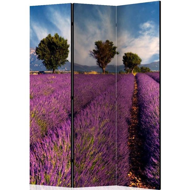 Sermi Artgeist Lavender field in Provence, France, 135x172cm
