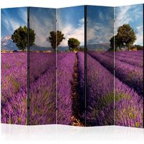Sermi Artgeist Lavender field in Provence, France II, 225x172cm