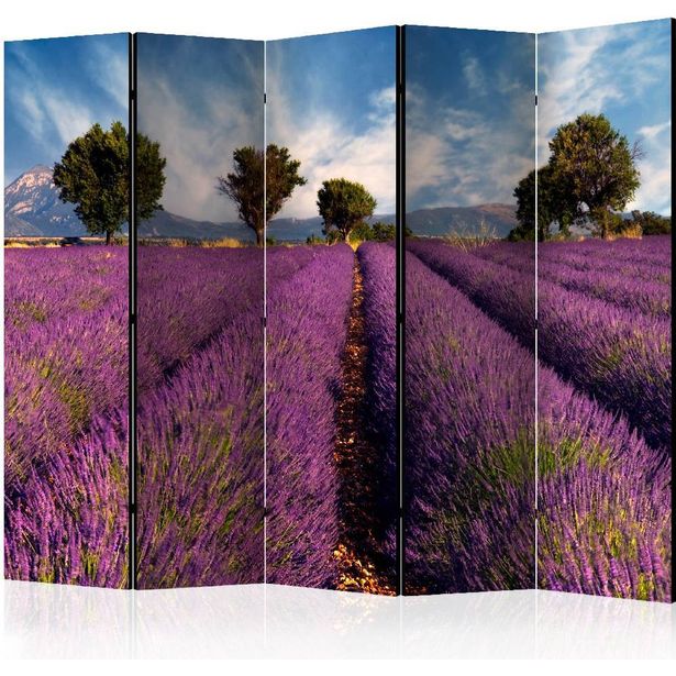Sermi Artgeist Lavender field in Provence, France II, 225x172cm