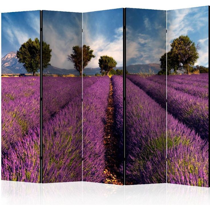 Sermi Artgeist Lavender field in Provence, France II, 225x172cm