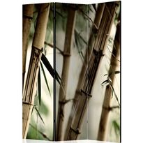 Sermi Artgeist Fog and bamboo forest, 135x172cm
