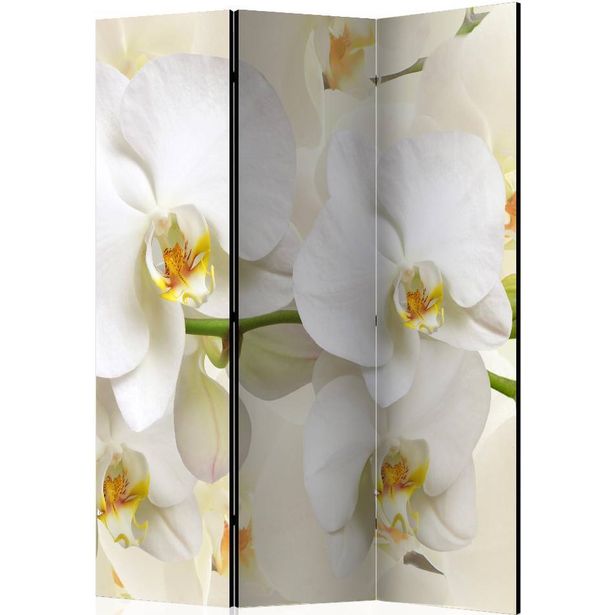 Sermi Artgeist Orchid Branch, 135x172cm