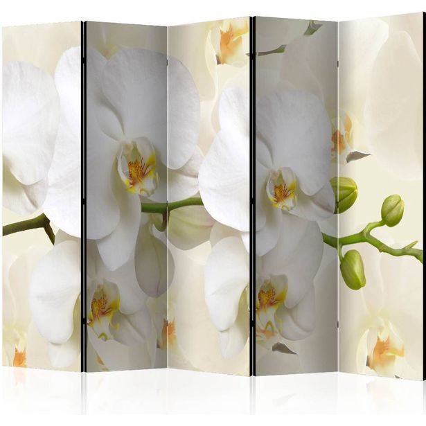 Sermi Artgeist Orchid Branch II, 225x172cm