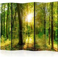 Sermi Artgeist Forest Rays II, 225x172cm