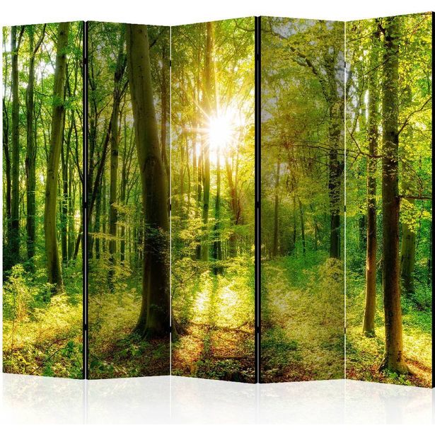 Sermi Artgeist Forest Rays II, 225x172cm