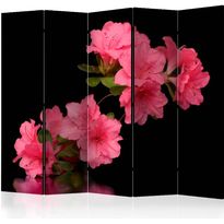 Sermi Artgeist Azalea in Black II, 225x172cm