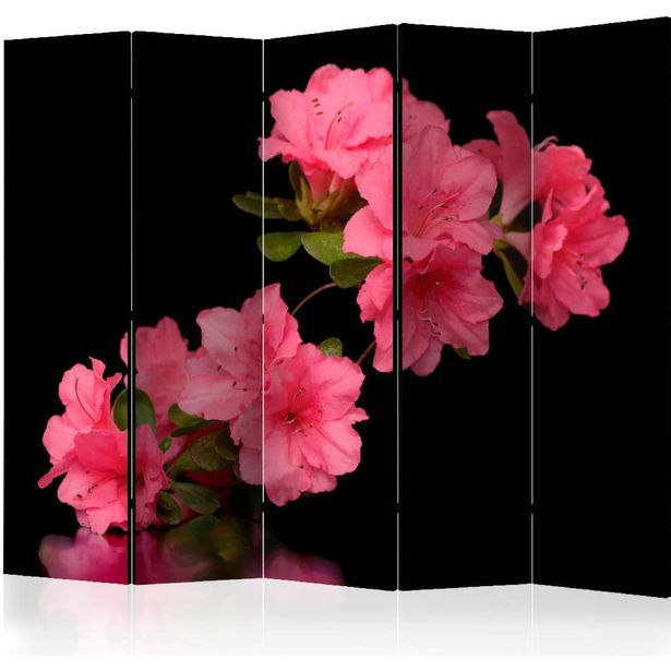 Sermi Artgeist Azalea in Black II, 225x172cm
