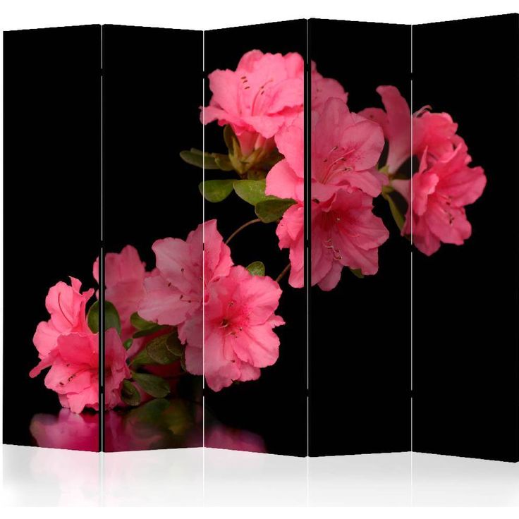 Sermi Artgeist Azalea in Black II, 225x172cm
