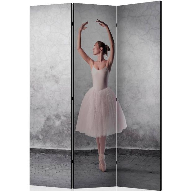 Sermi Artgeist Ballerina in Degas paintings style, 135x172cm