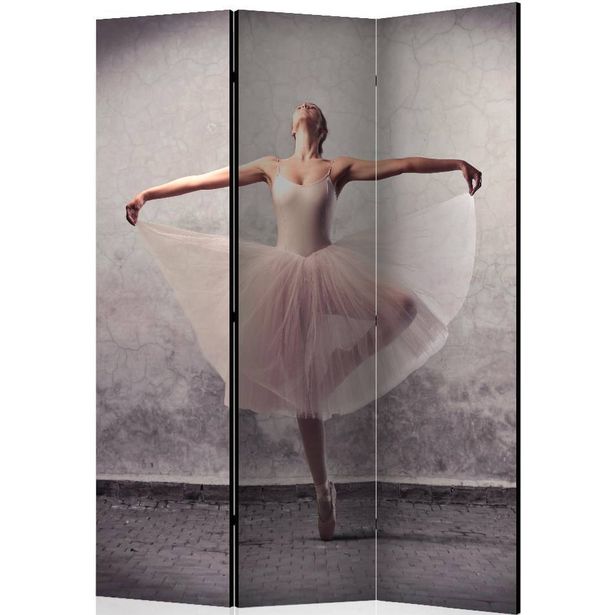 Sermi Artgeist Classical dance - poetry without words, 135x172cm
