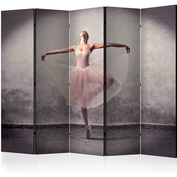 Sermi Artgeist Classical dance - poetry without words II, 225x172cm