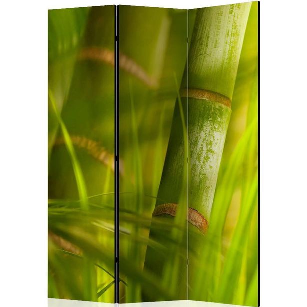 Sermi Artgeist bamboo - nature zen, 135x172cm