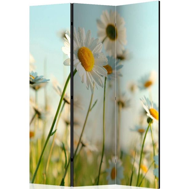 Sermi Artgeist Daisies - spring meadow II, 135x172cm