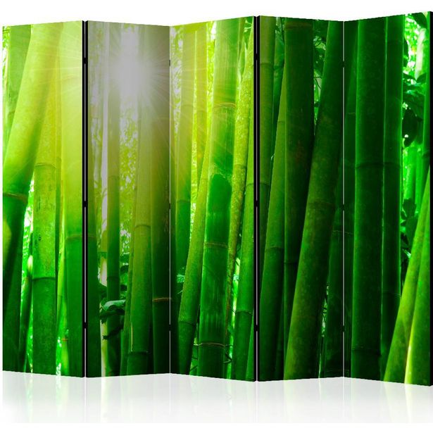 Sermi Artgeist Sun and bamboo, 225x172cm