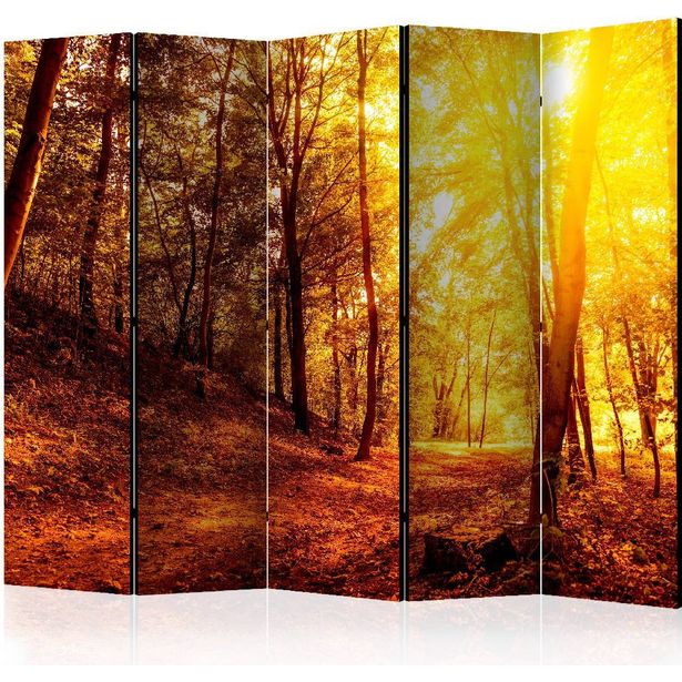 Sermi Artgeist Autumn Walk II, 225x172cm