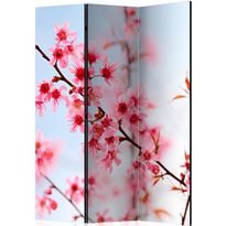 Sermi Artgeist Symbol of Japan - sakura flowers, 135x172cm