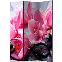 Sermi Artgeist Orchid flowers with zen stones, 135x172cm