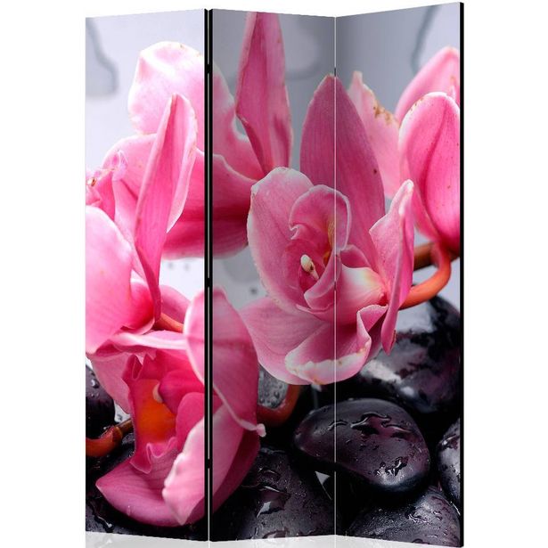 Sermi Artgeist Orchid flowers with zen stones, 135x172cm