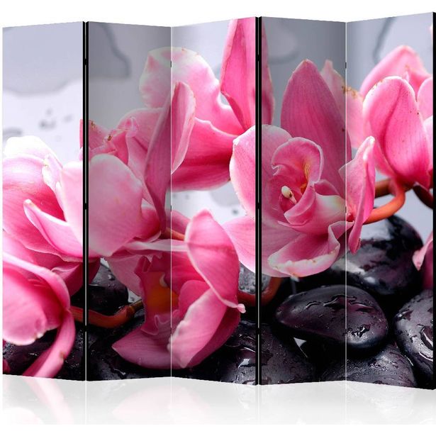 Sermi Artgeist Orchid flowers with zen stones II, 225x172cm