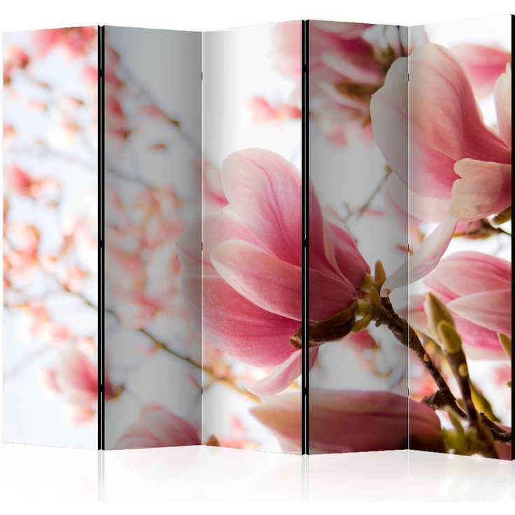 Sermi Artgeist Pink magnolia II, 225x172cm