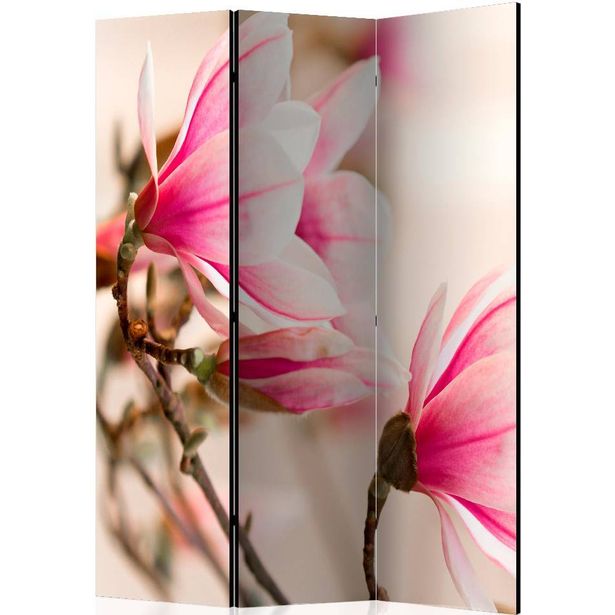 Sermi Artgeist Branch of magnolia tree, 135x172cm