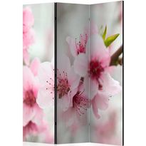 Sermi Artgeist Spring, blooming tree - pink flowers, 135x172cm
