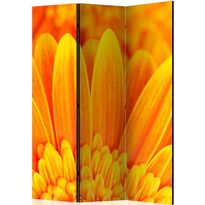 Sermi Artgeist Yellow gerbera daisies, 135x172cm