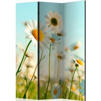 Sermi Artgeist Daisies - spring meadow, 135x172cm