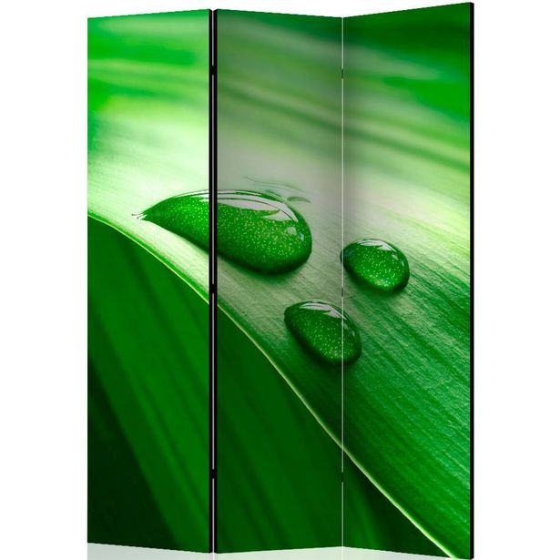 Sermi Artgeist Leaf and three drops of water, 135x172cm