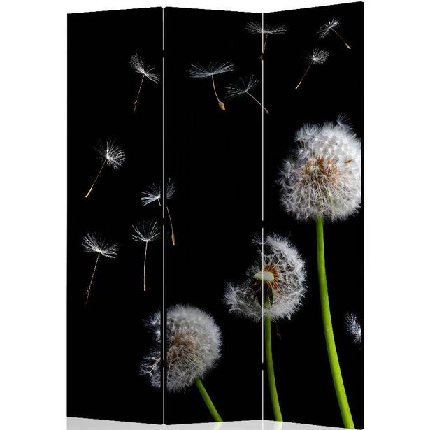 Sermi Artgeist Dandelions in the wind, 135x172cm