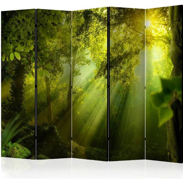 Sermi Artgeist In a Secret Forest II II, 225x172cm