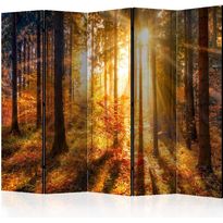 Sermi Artgeist Autumn Awakening II, 225x172cm