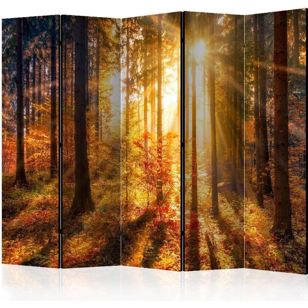 Sermi Artgeist Autumn Awakening II, 225x172cm