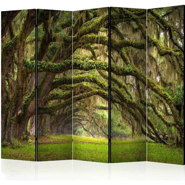 Sermi Artgeist Tree embrace II, 225x172cm