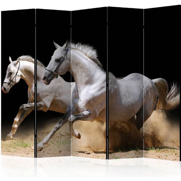 Sermi Artgeist Galloping horses on the sand II, 225x172cm