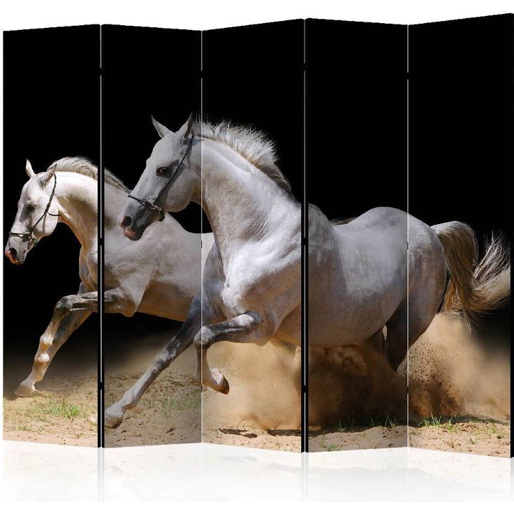 Sermi Artgeist Galloping horses on the sand II, 225x172cm