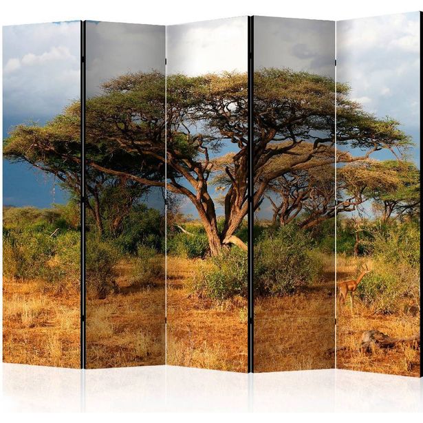 Sermi Artgeist Samburu National Reserve, Kenya II, 225x172cm