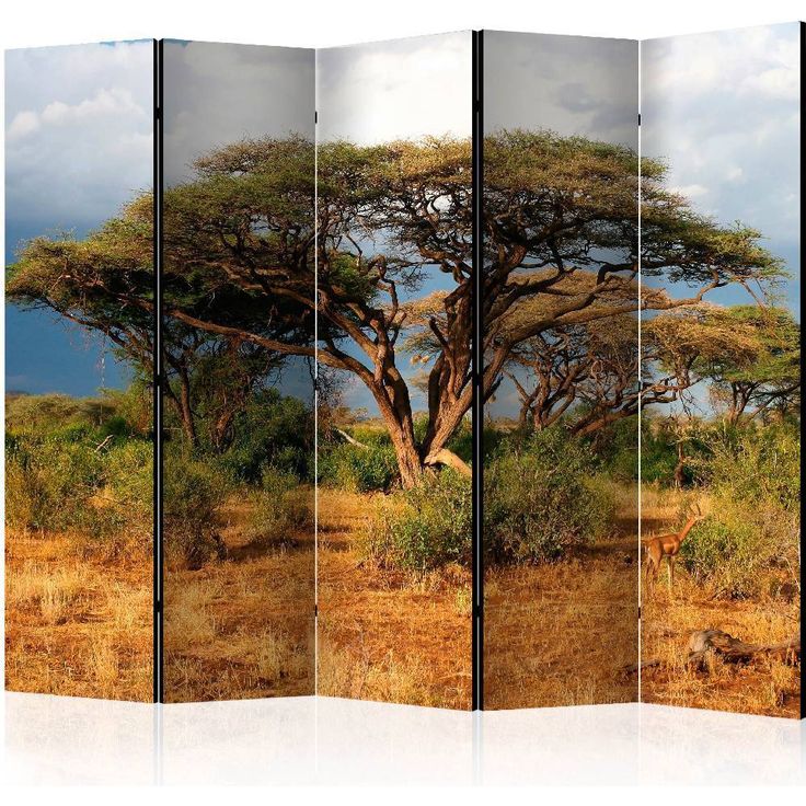 Sermi Artgeist Samburu National Reserve, Kenya II, 225x172cm